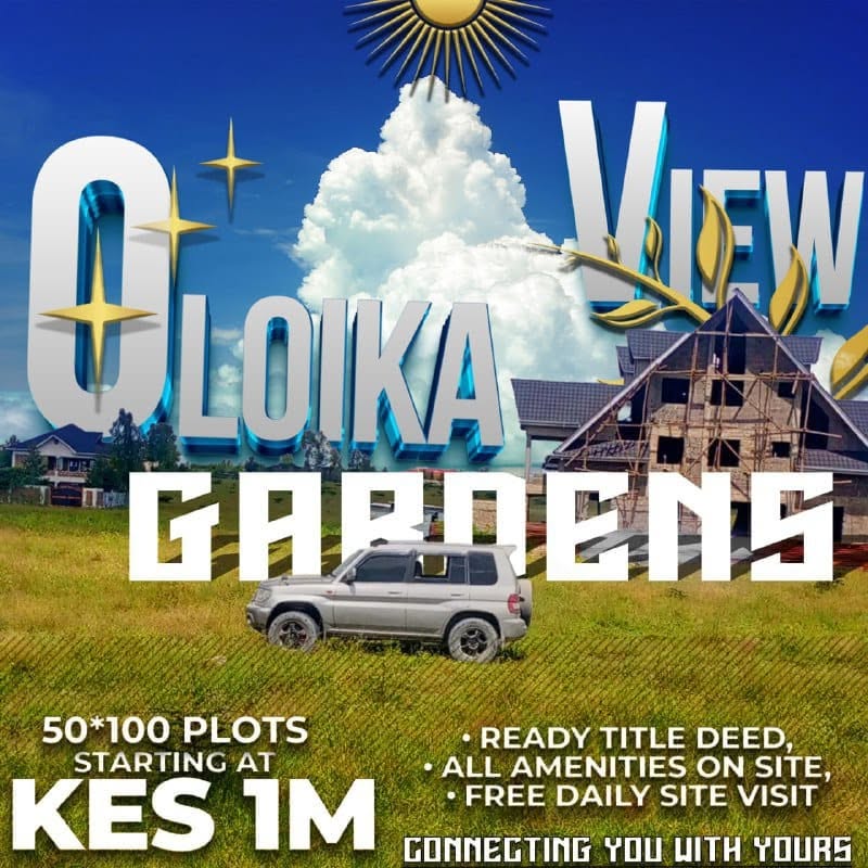 OLOIKA PLOTS main view