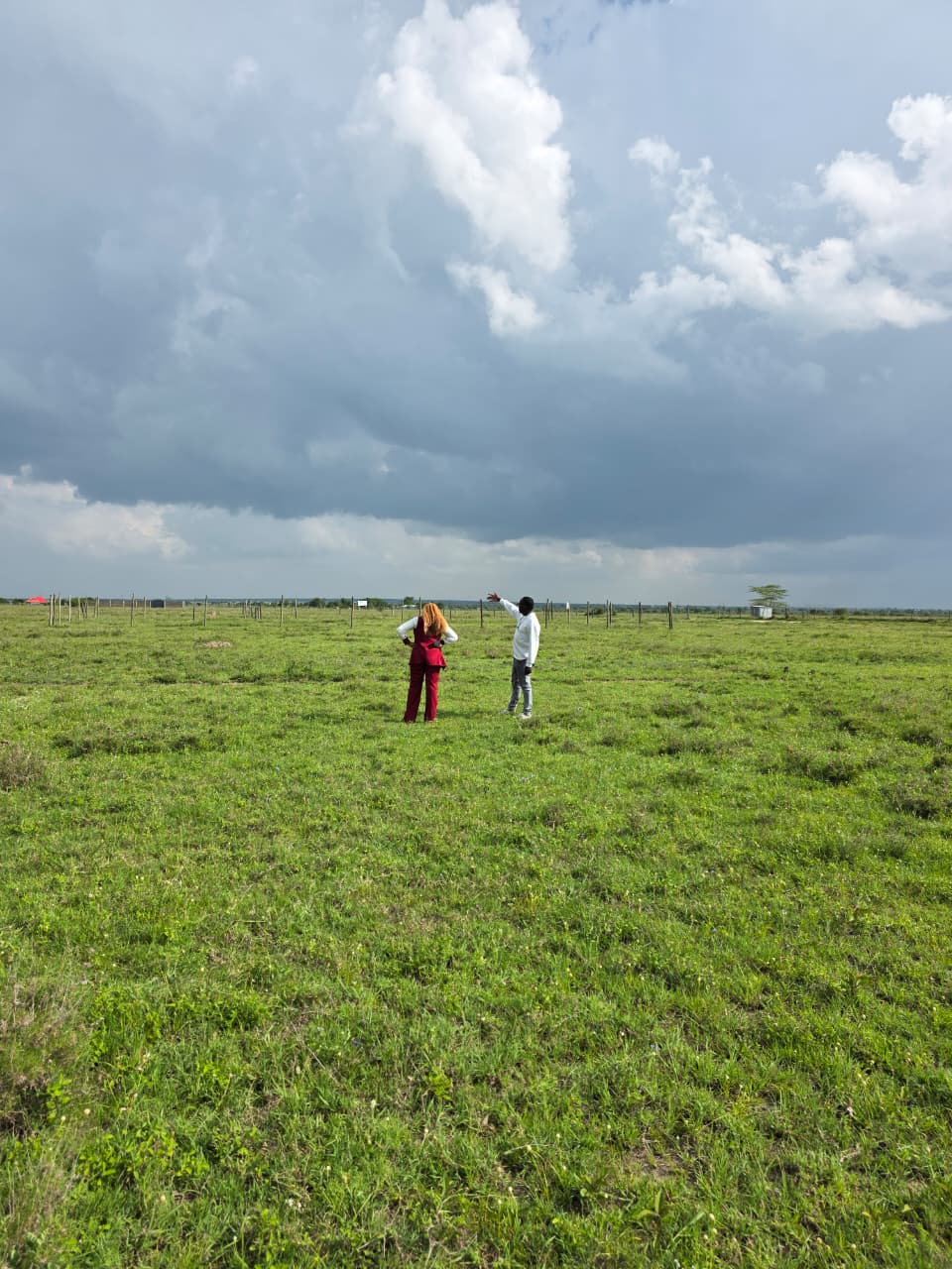 5 Things to Check Before Buying Land in Kenya