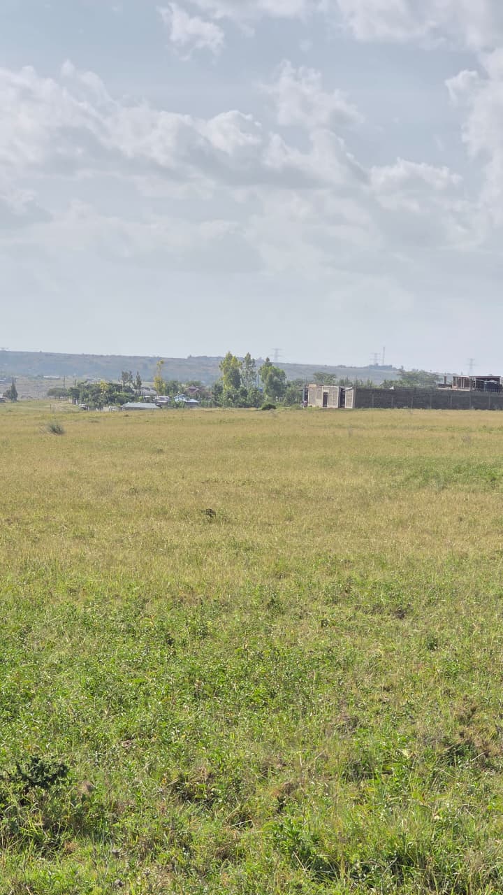 OLOIKA GARDENS