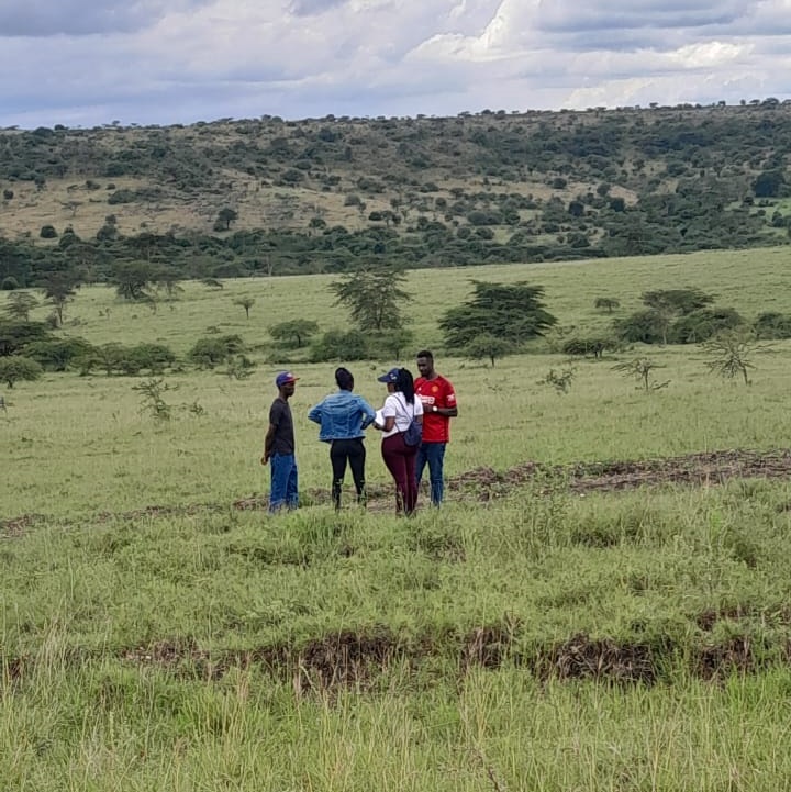 kitengela