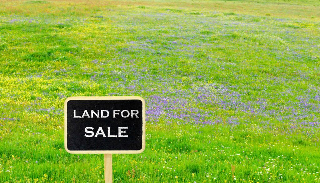sale-sign-standing-on-a-grassy-field-with-flower-2025-02-03-07-44-16-utc