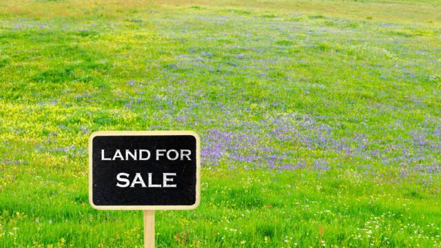 sale-sign-standing-on-a-grassy-field-with-flower-2025-02-03-07-44-16-utc